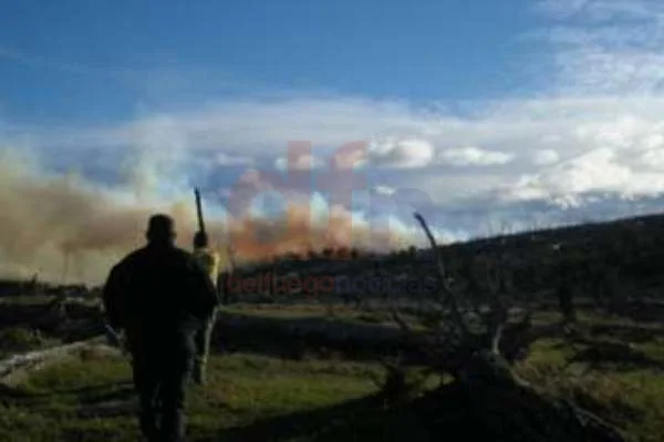 El fuego avanza descontrolado por los fuerte vientos que azotan a la zona.