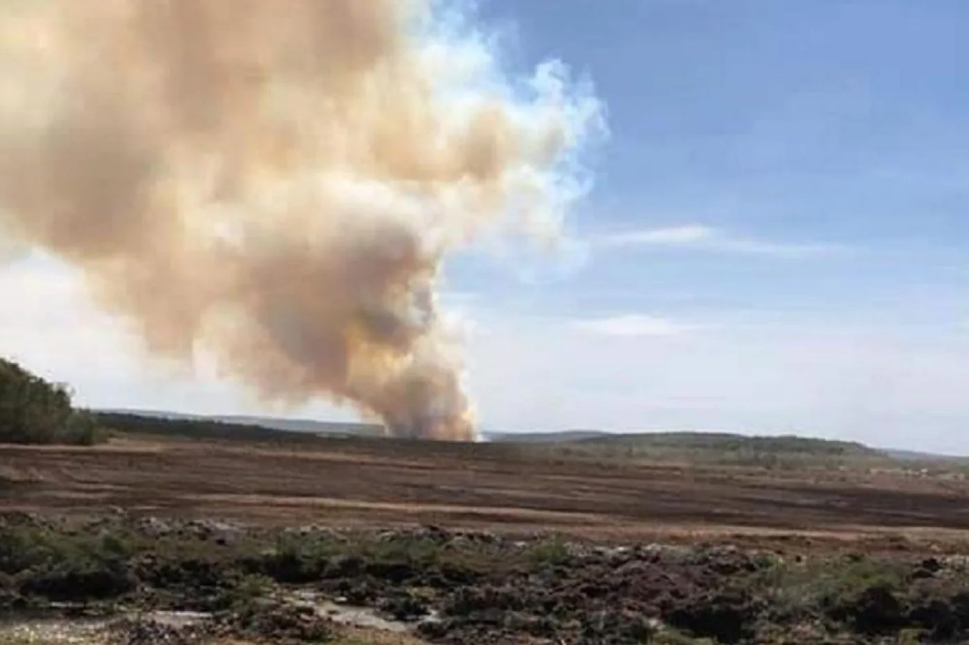 Ardua labor por el incendio forestal en la Reserva Provincial “Corazón de la Isla”