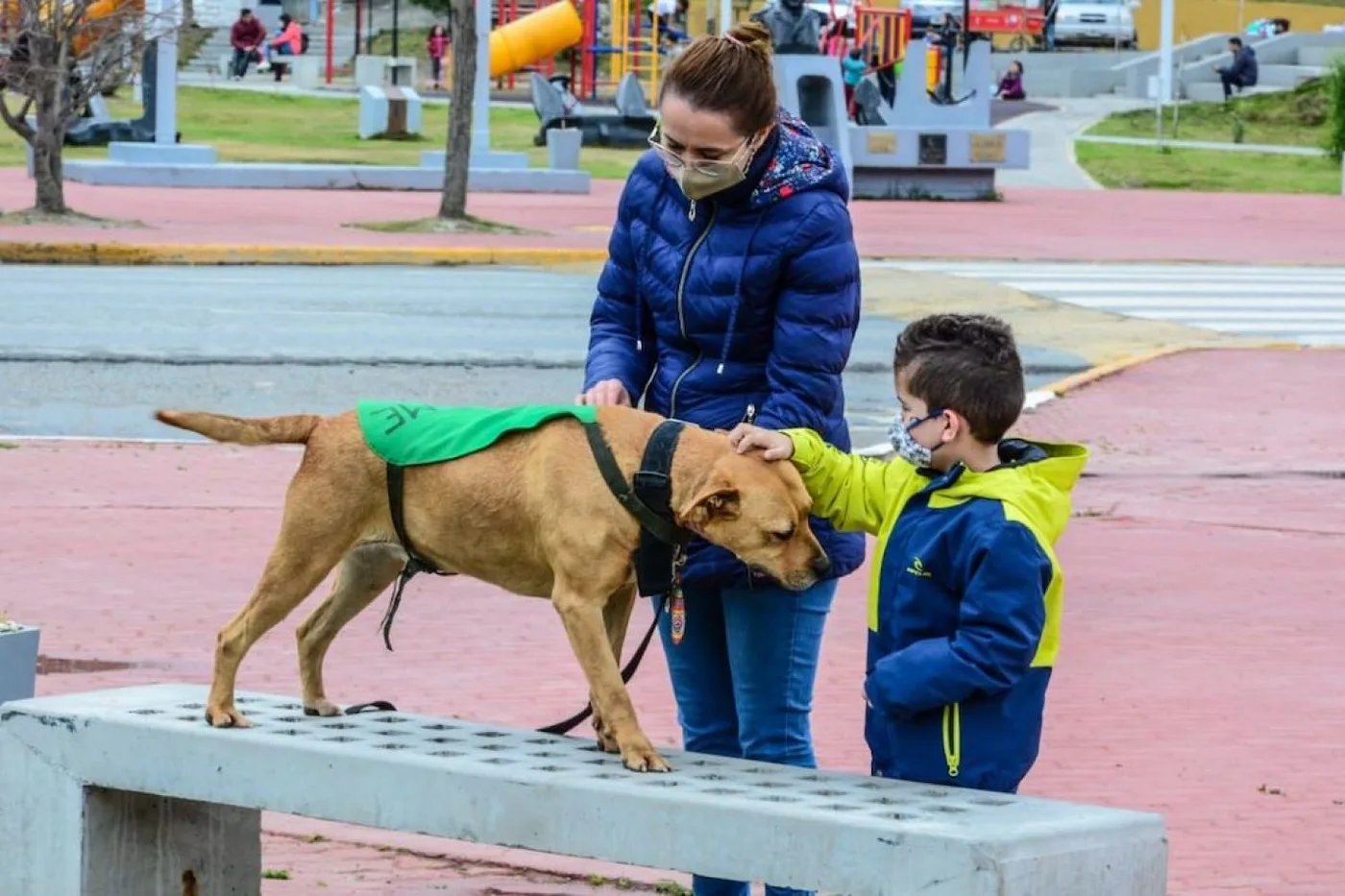 Jornada de Zoonosis en el Paseo de las Rosas