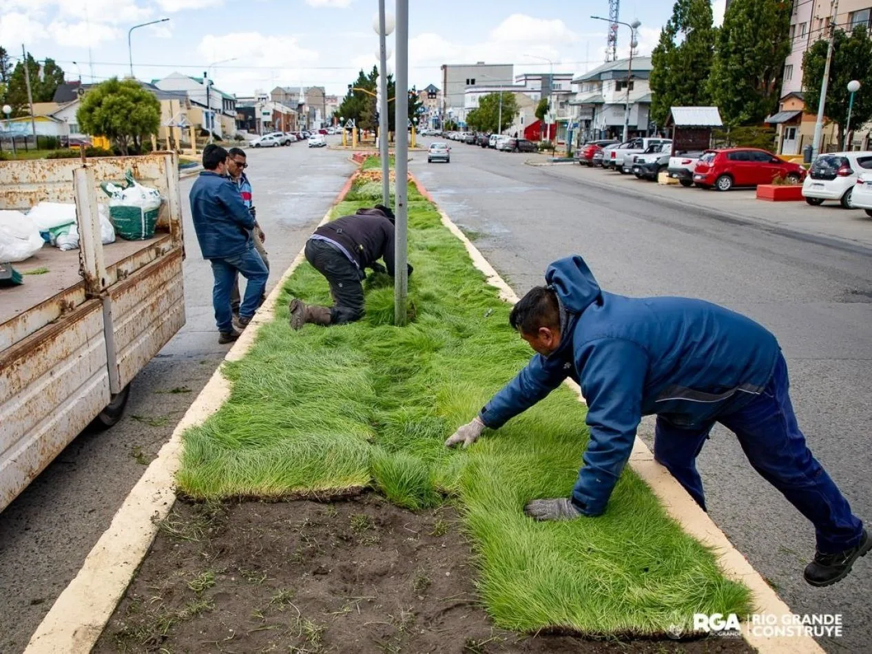 Plan de Embellecimiento y Forestación en diferentes puntos de nuestra ciudad.