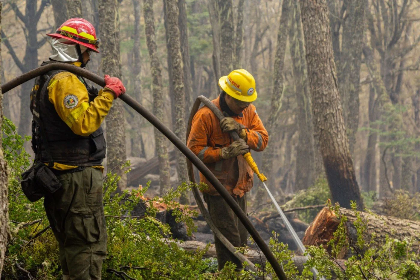 Aún no se logra extinguir el incendio forestal de Tolhuin