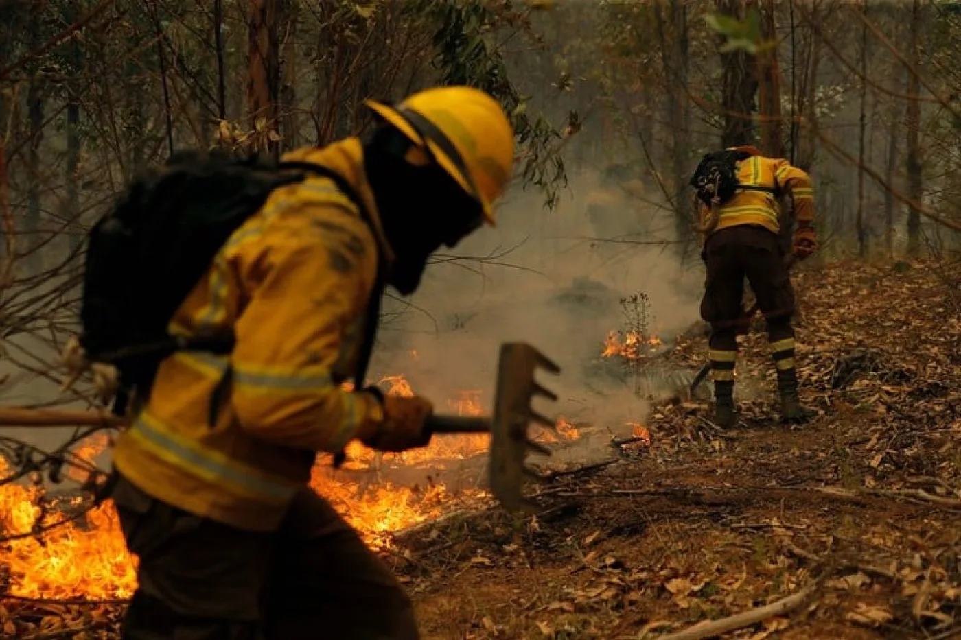 Chile declaró el estado de desastre en varias regiones del centro y sur del país por los devastadores incendios.