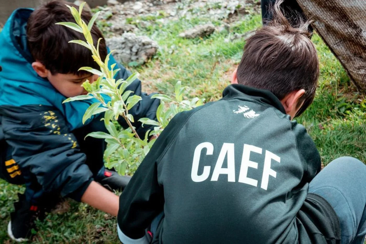 El CAEF, es un club social y deportivo que realiza sus actividades desde 2017.