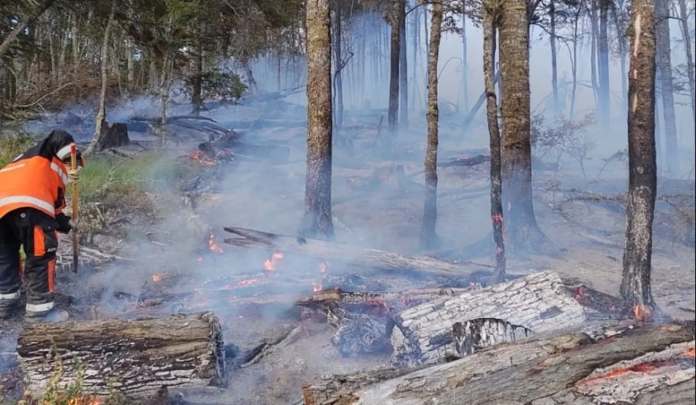 Procesan a un hombre por un incendio forestal en Laguna Verde