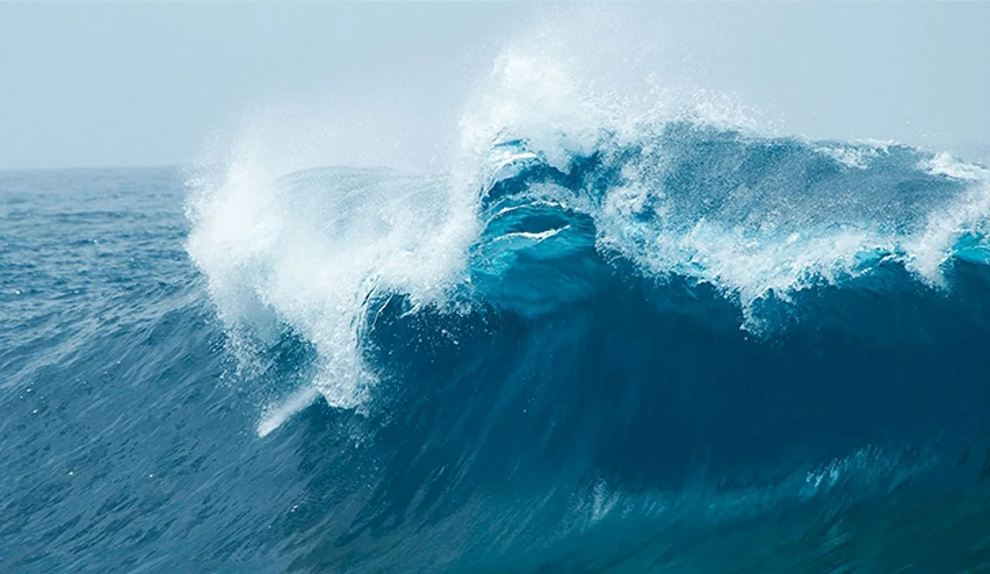 La temperatura media de los océanos alcanzó un récord histórico.