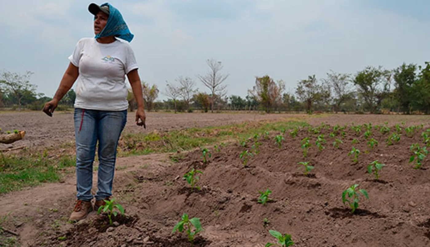 El gobierno abrió el registro para solicitar tierras para vivienda o actividades agrícolas.