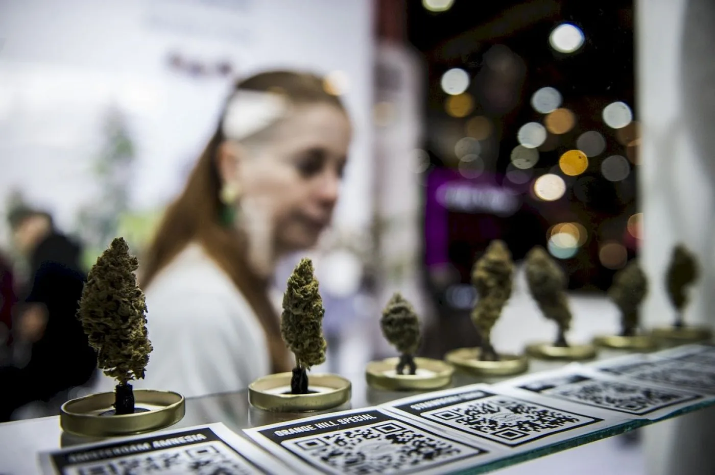 Inició la 4ta edición de la Expo Cannabis en La Rural.