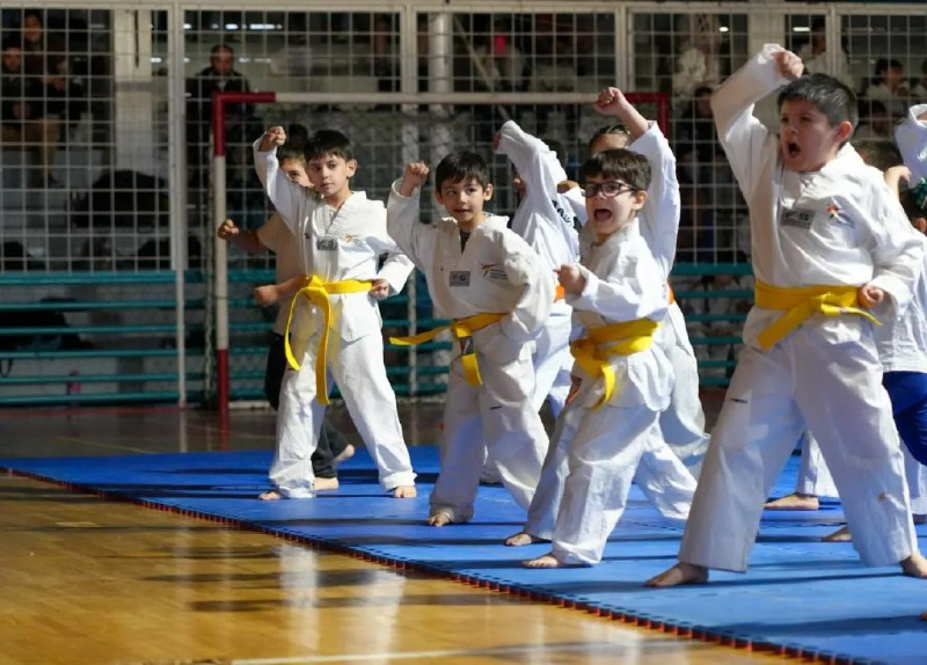 Las Escuelas Municipales de Deportes de Combate tuvieron su cierre anual en el Polideportivo Carlos Margalot.
