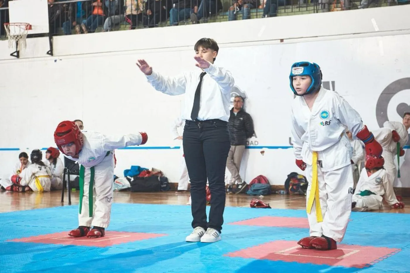 El Instituto Municipal de Deportes colaboró con la Asociación Ushuaia de Taekwon-do en la organización del Open Taekwon-do Ushuaia 2023.