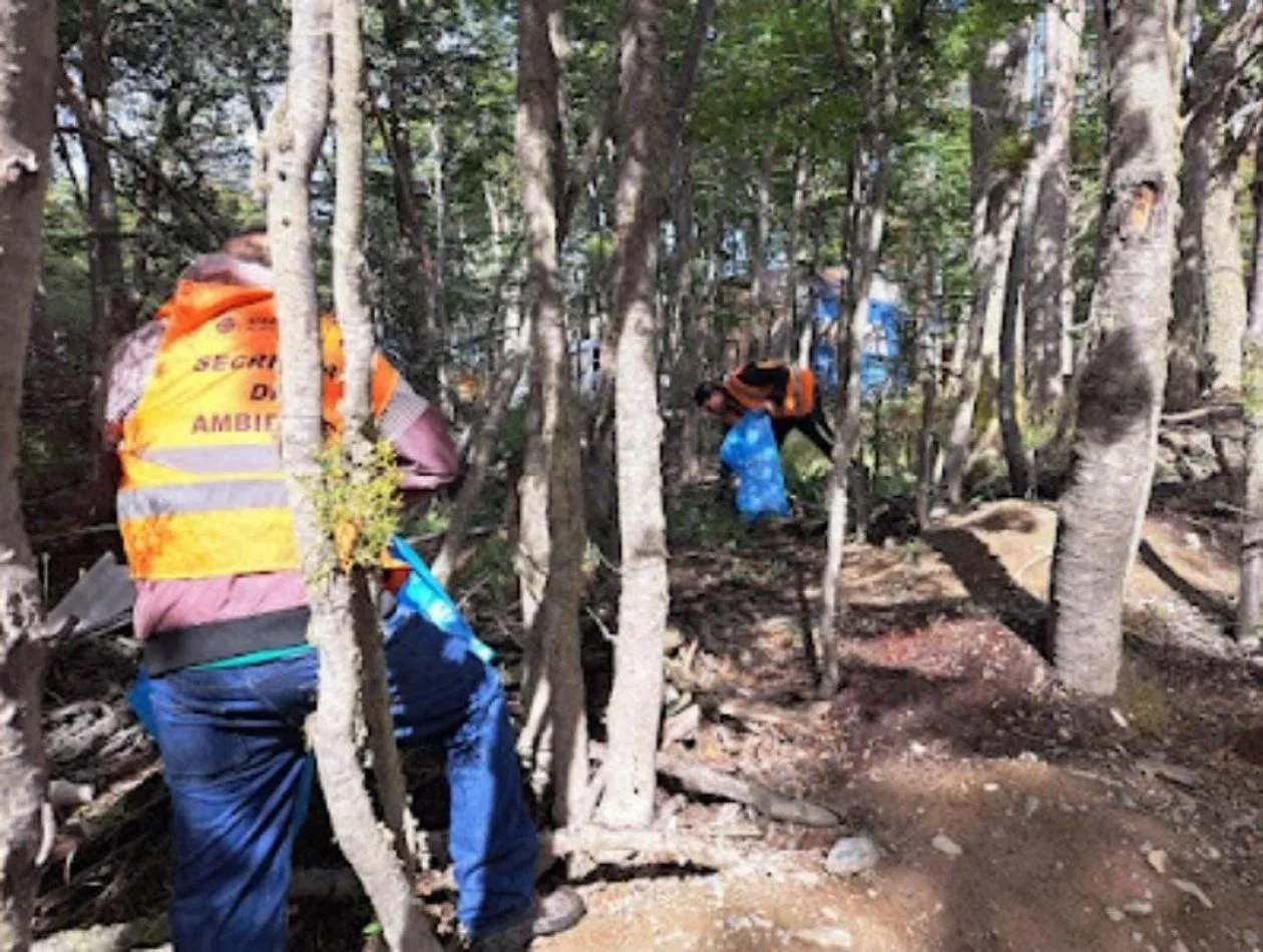Avances en la puesta en valor del Camping Municipal del Valle de Andorra
