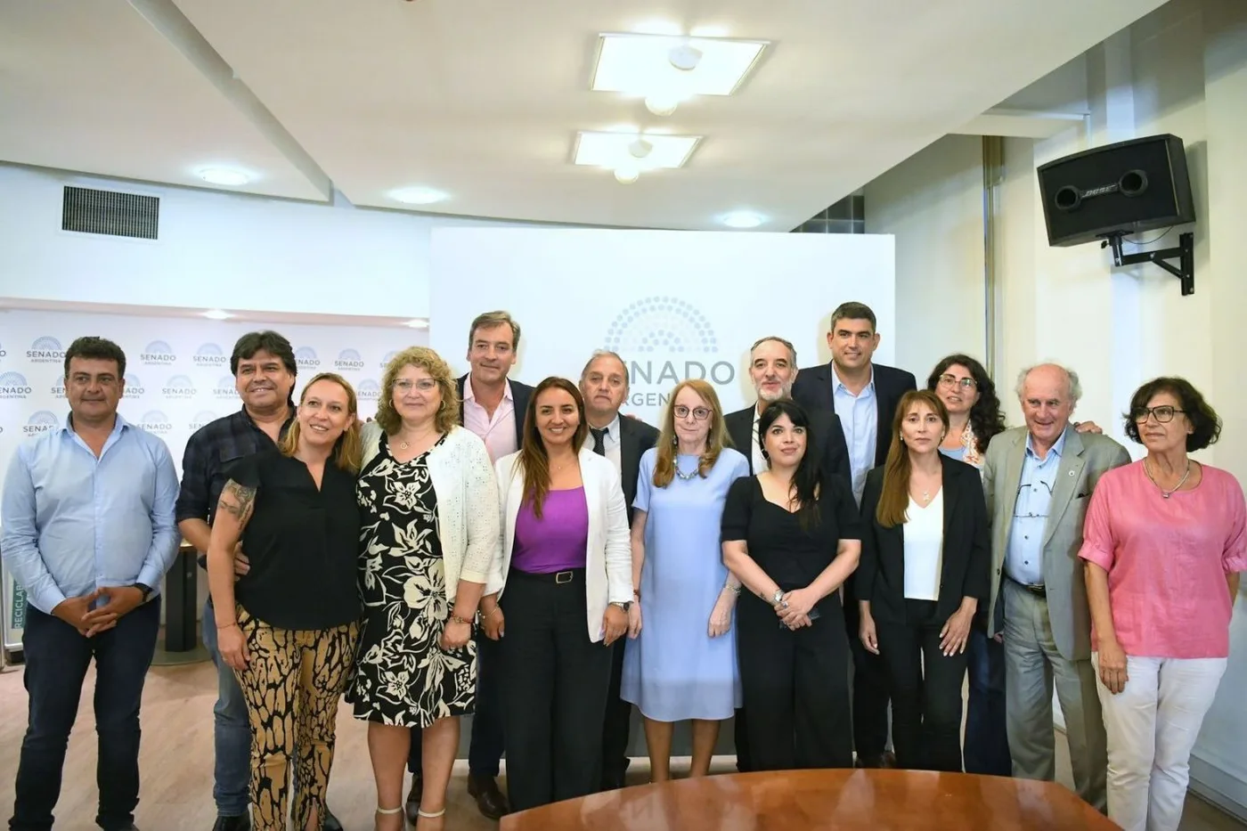 Senadores patagónicos, en contra del DNU y la Ley Omnibus.