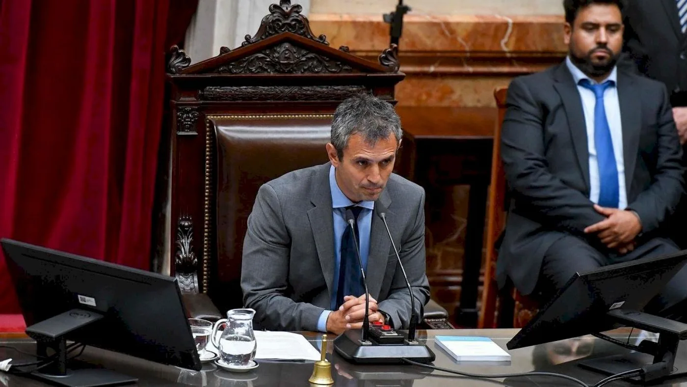 Presidente de la Cámara de Diputados, Martín Menem.