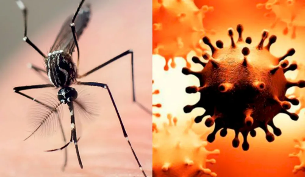 Covidengue la combinación explosiva que preocupa a los infectólogos