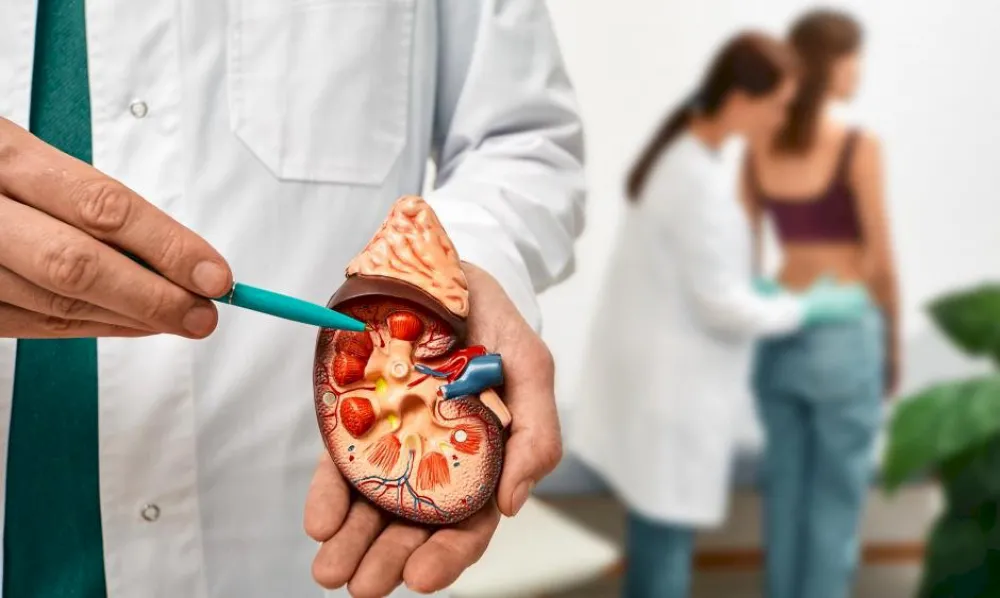 Día Mundial del Riñón: la necesidad urgente de actuar para prevenir