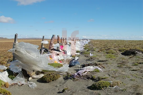 Las bolsas plásticas se diseminan y contaminan el medio ambiente.