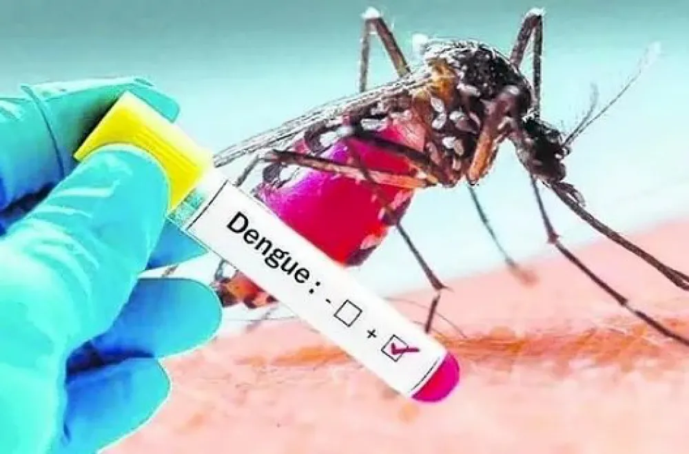 El Ministerio de Salud de la provincia de Buenos Aires informó el primer caso autóctono de dengue, confirmado por laboratorio, correspondiente al serotipo DEN-1 y que no registra antecedente de viaje.