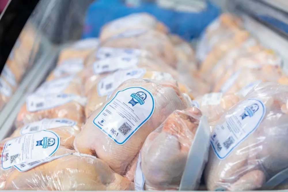 Pollos frescos para toda la provincia