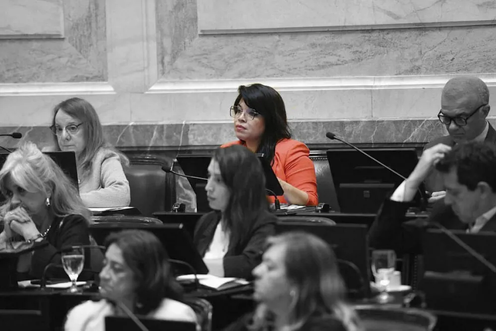 UxP presentó proyecto para anular el decreto que habilita "embajadores comerciales" sin formación diplomática
