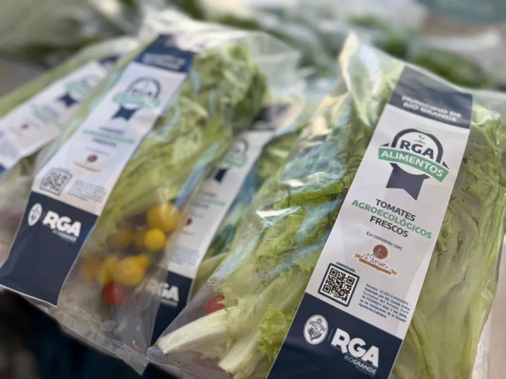 Continúa la venta de tomates, ensaladas y se suman ajíes