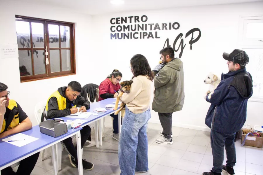 Exitosa jornada de adopción, vacunación y chipeo