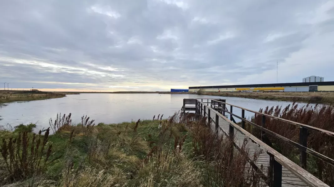 Laguna de los a Patos