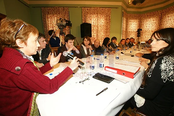 Fabiana Ríos volvió a presidir la sesión del Consejo Económico y Social.