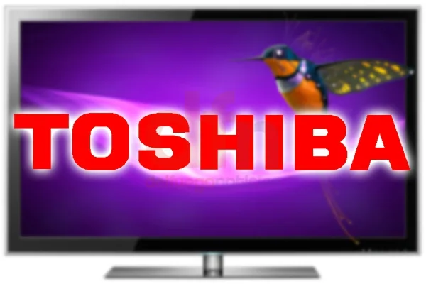Toshiba busca fabricar en el polo industrial fueguino.