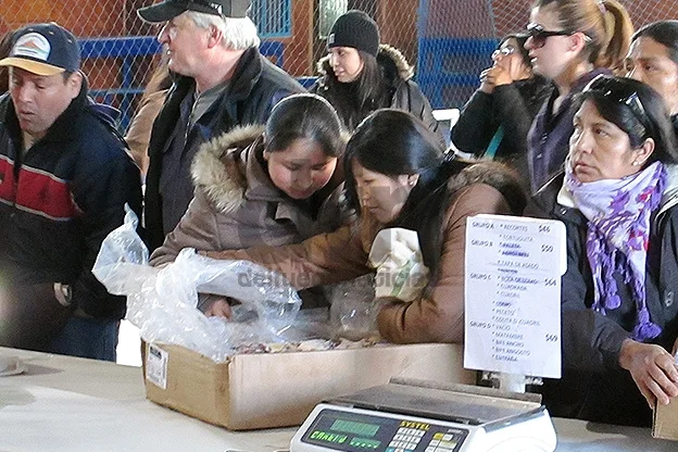 La demanda superó las expectativas en la capital provincial.