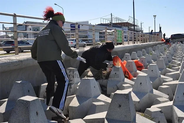 La limpieza se extendió a lo largo de la costa céntrica.