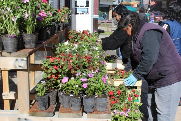 Ese año se podrn apreciar más plantas en la vía pública.