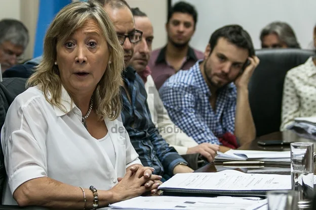 Adriana Chappoeron durante la reunión en la Legislatura. (Foto: Prensa Legislatura TDF)