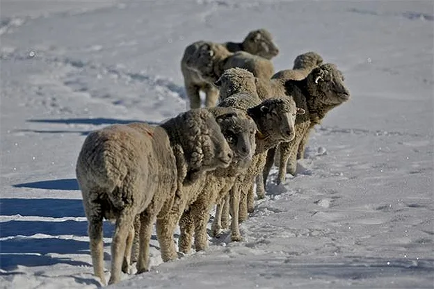 En algunas zonas de la provincia la nieve llega a un metro de altura.