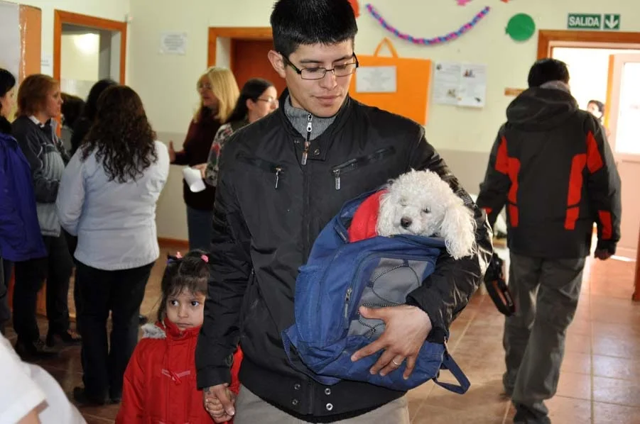 Zoonosis inicia campaña para los dueños de mascotas en época vacacional