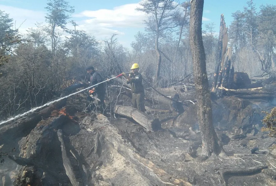 Fueguinos desaprensivos: En tres días se quemaron seis hectáreas de bosque nativo