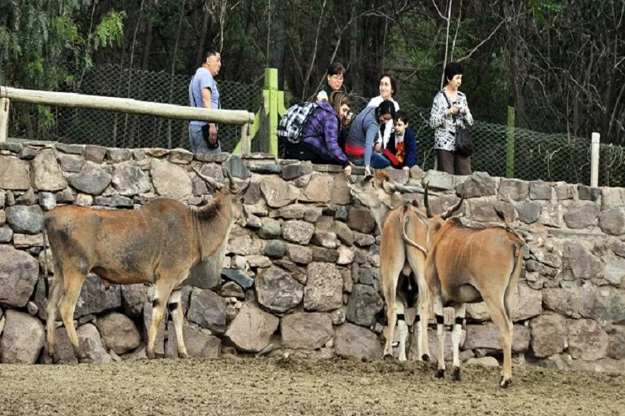 Murieron 50 animales en el zoológico de Mendoza en lo que va del año