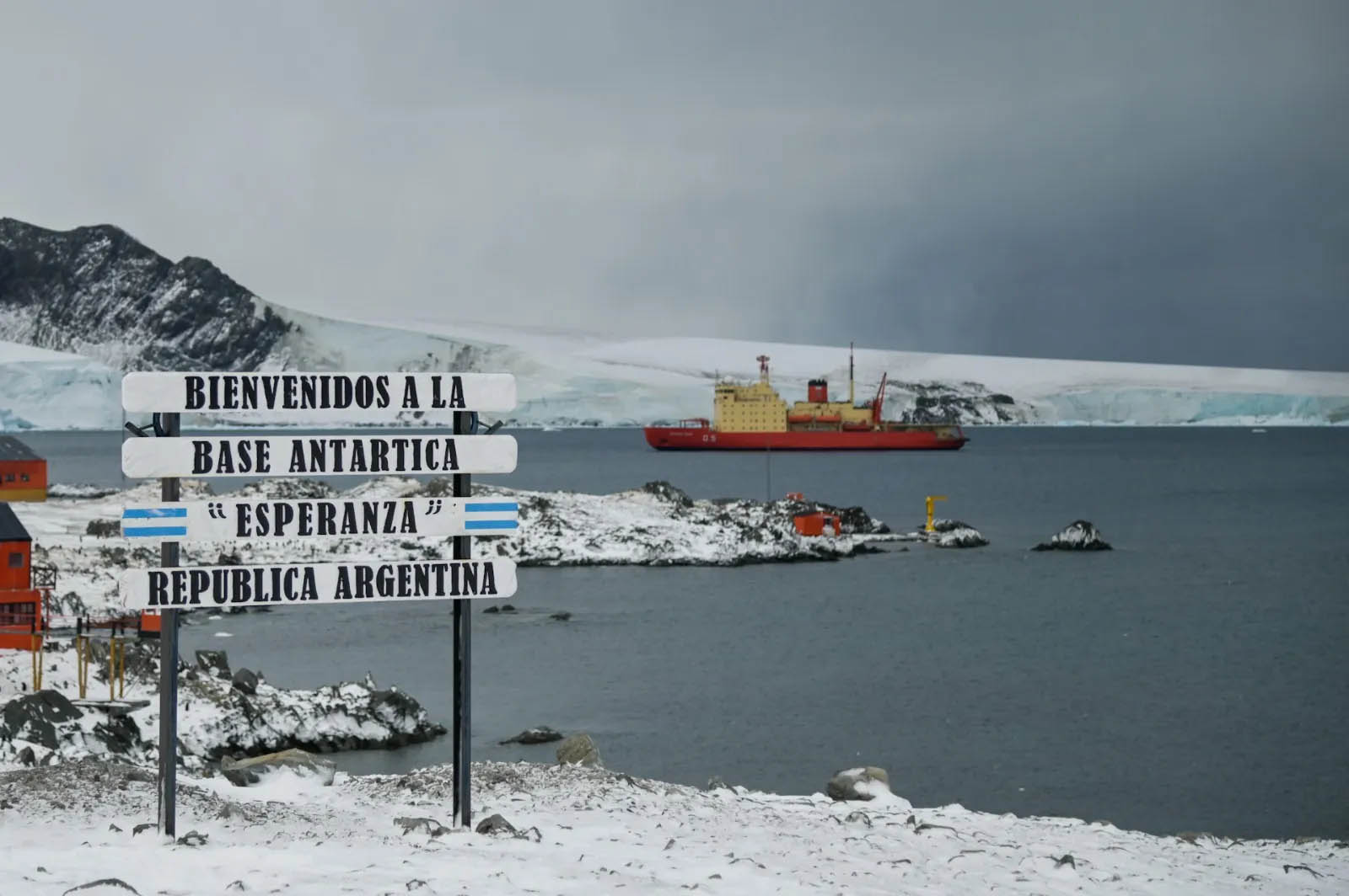 Detectan gripe aviar cerca de una base antártica argentina