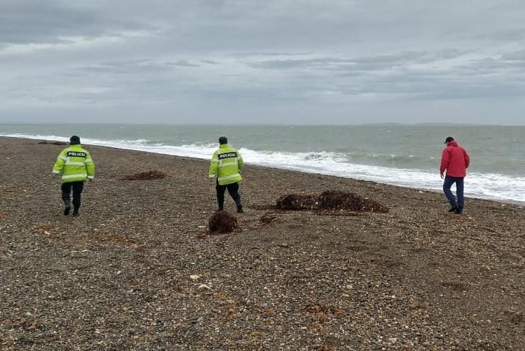 Un pescador observó un hueso en la playa, sin poder establecer si es de origen humano o animal, en el mismo lugar en el que buscaban a María Elsa Contreras Navarro de 69.
